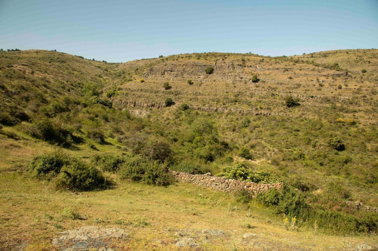 Casa Rural El Huerto De La Fragua Casa de hóspedes Enciso Exterior foto